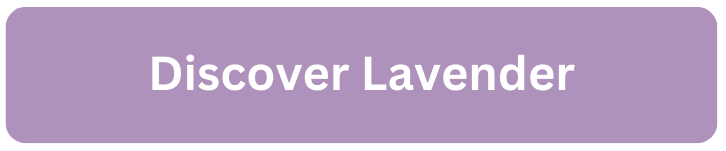 Discover Lavender Discover Lavender