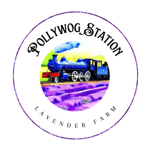 Pollywog Station Lavender Farm